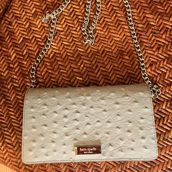 kate spade Handbags - Kate Spade Light Blue clutch, shoulder or wallet, handbag with silver NEW!